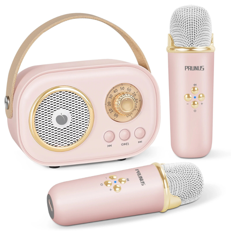 Paire de microphones roses pour karaoké familial