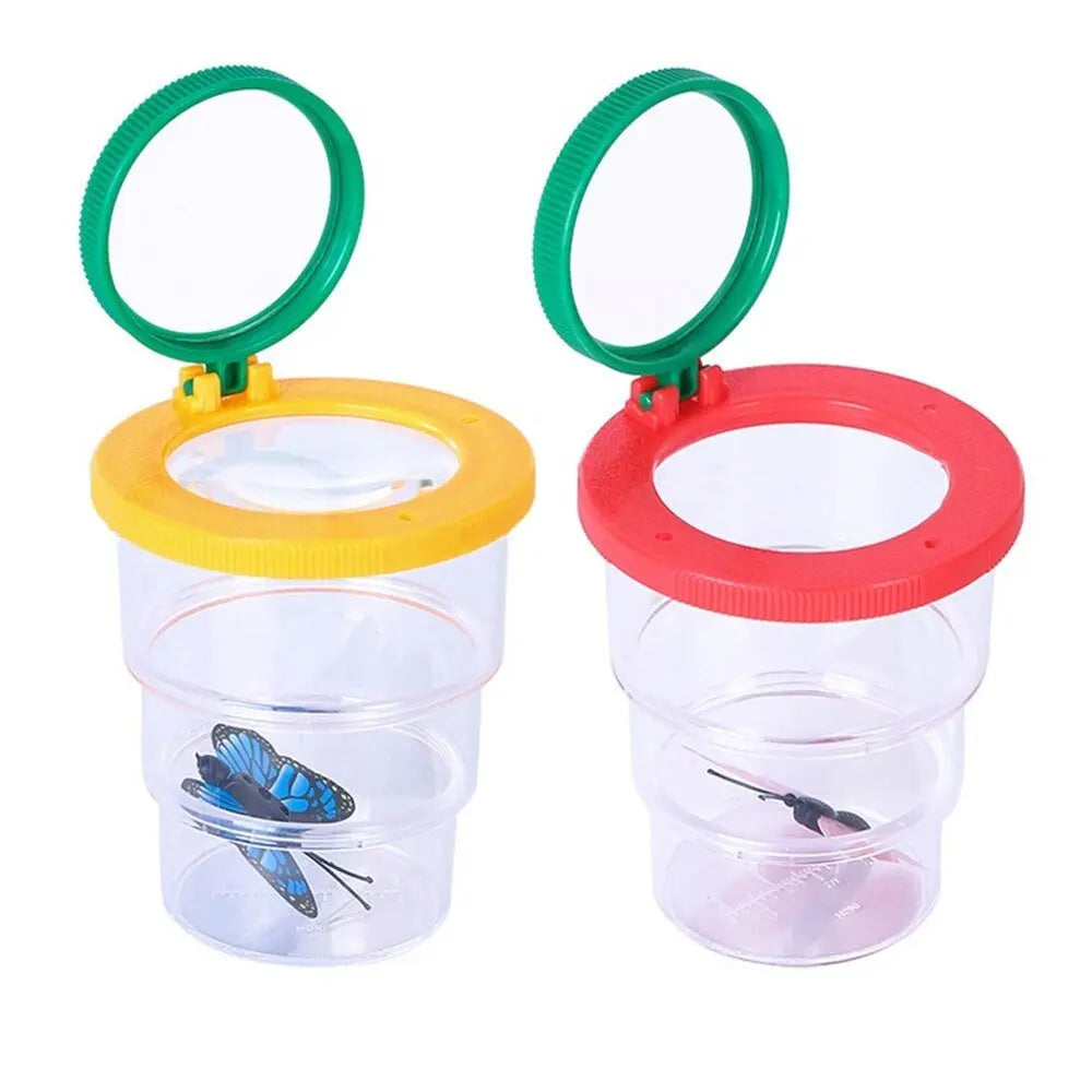 Enfant utilisant la boîte pour observer un insecte