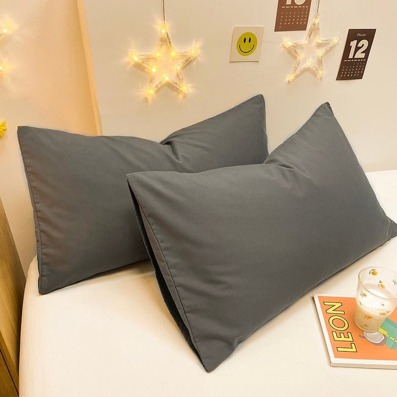 Deux housses de coussin grises sur un canapé moderne