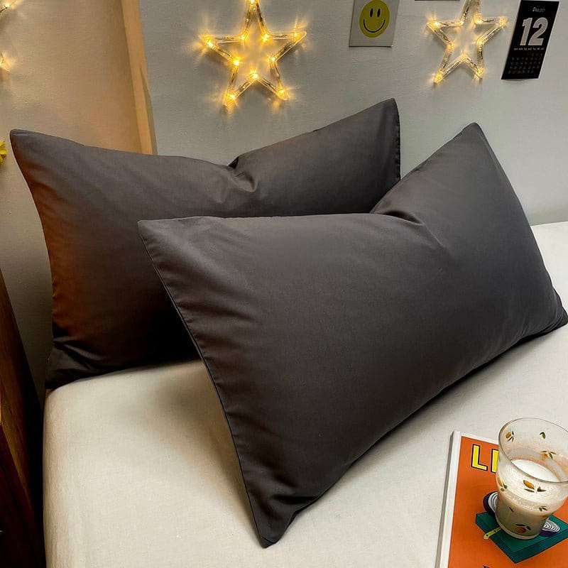 Deux housses de coussin gris foncé sur fond blanc