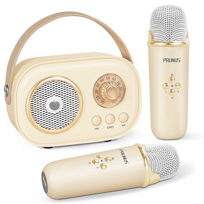 Deux microphones sans fil beige pour karaoké