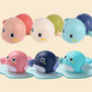 Tortue de bain rose et bleue sur fond blanc