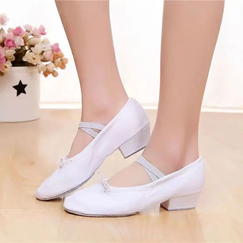 Vue arrière des ballerines montrant le talon bas