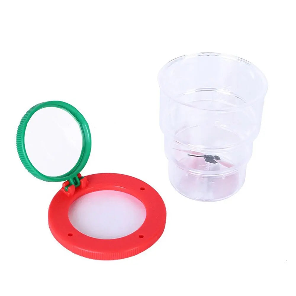 Boîte transparente montrant des insectes à l'intérieur