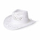 Chapeau cowboy avec ombre portée au sol