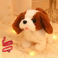 Chien interactif Corgi en mouvement sur le sol