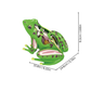 Modèle de grenouille en ABS avec détails anatomiques visibles