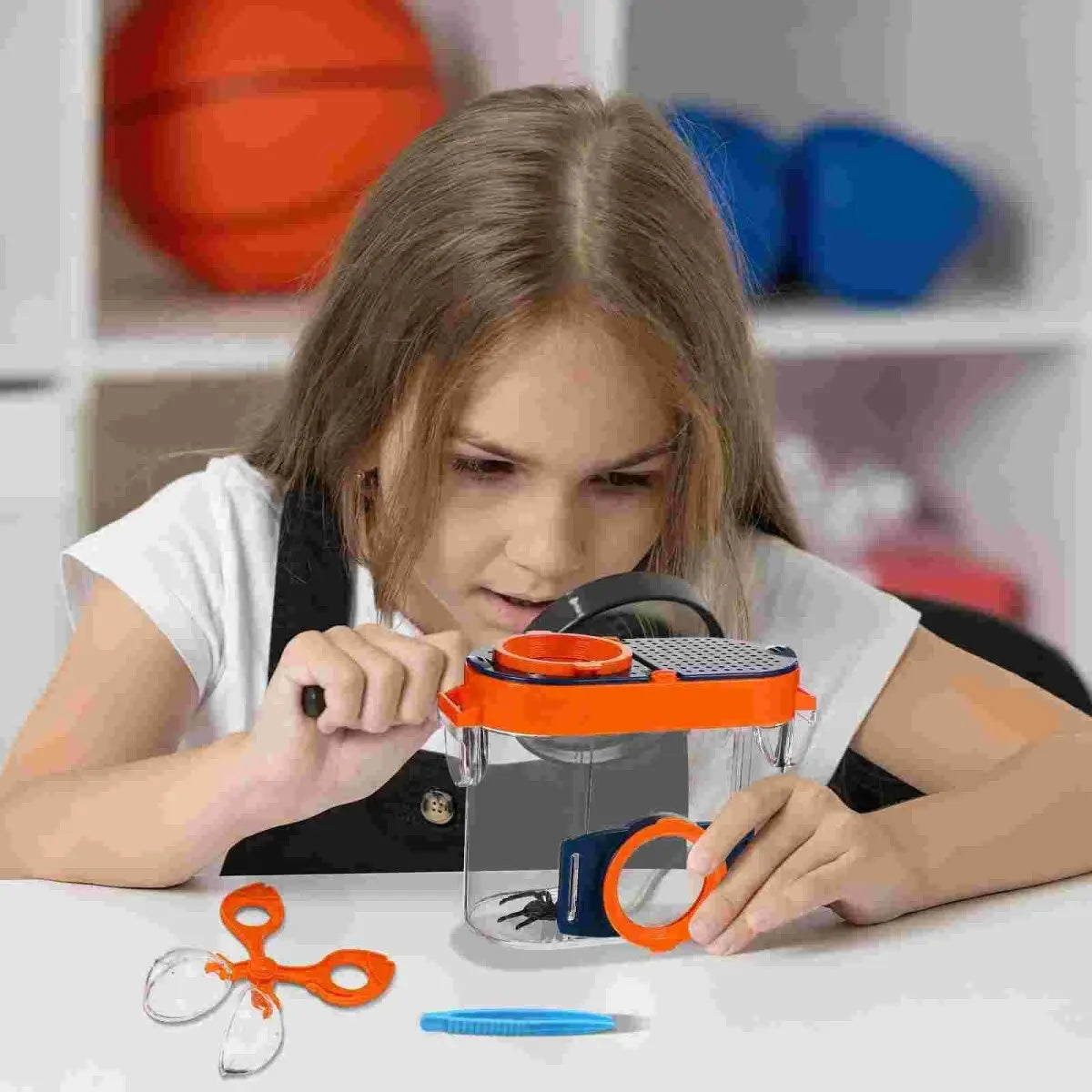Kit d'observation d'insectes avec boîte loupe et accessoires