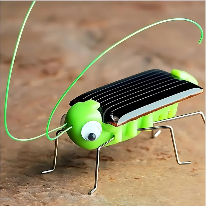 Gros plan d'une sauterelle solaire en mouvement sous le soleil