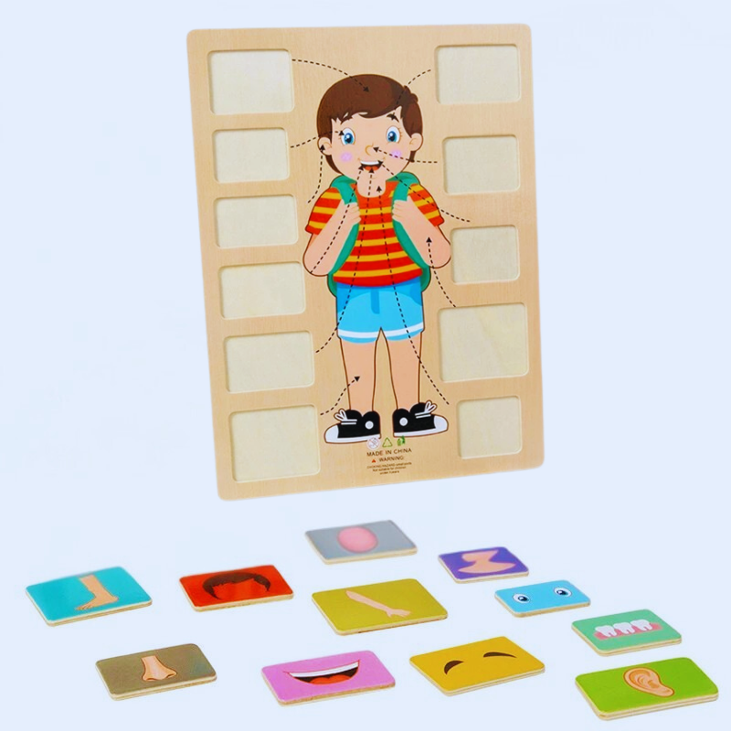Enfant jouant avec un puzzle éducatif en bois sur le corps humain