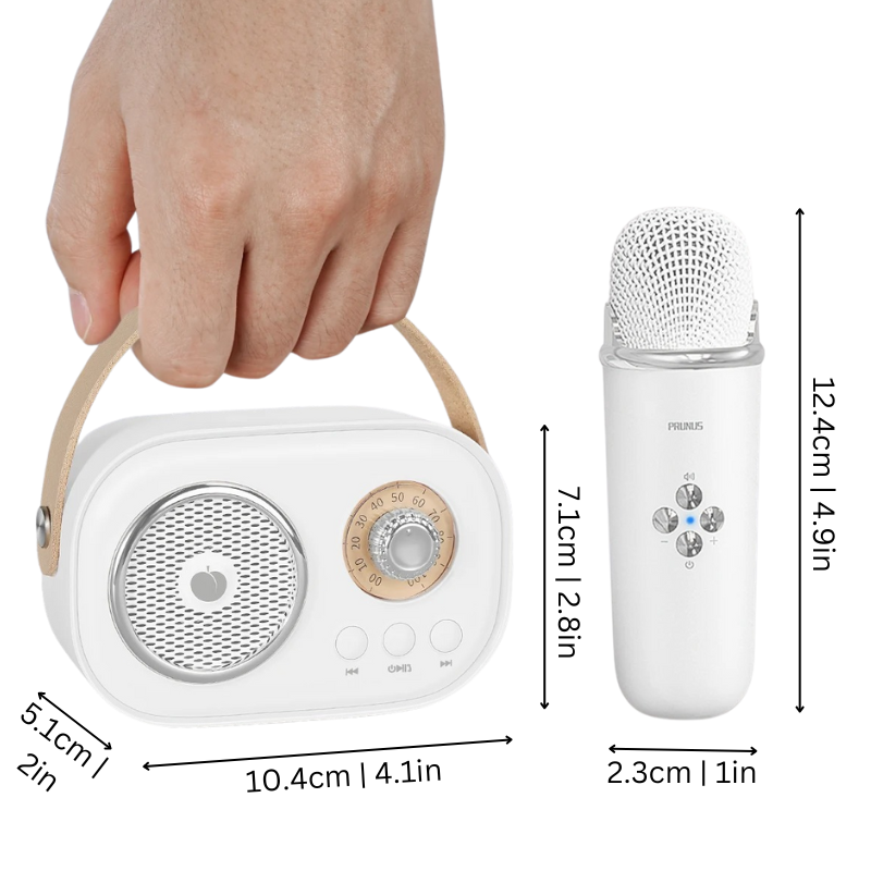 Système de karaoké portable avec deux micros et Bluetooth