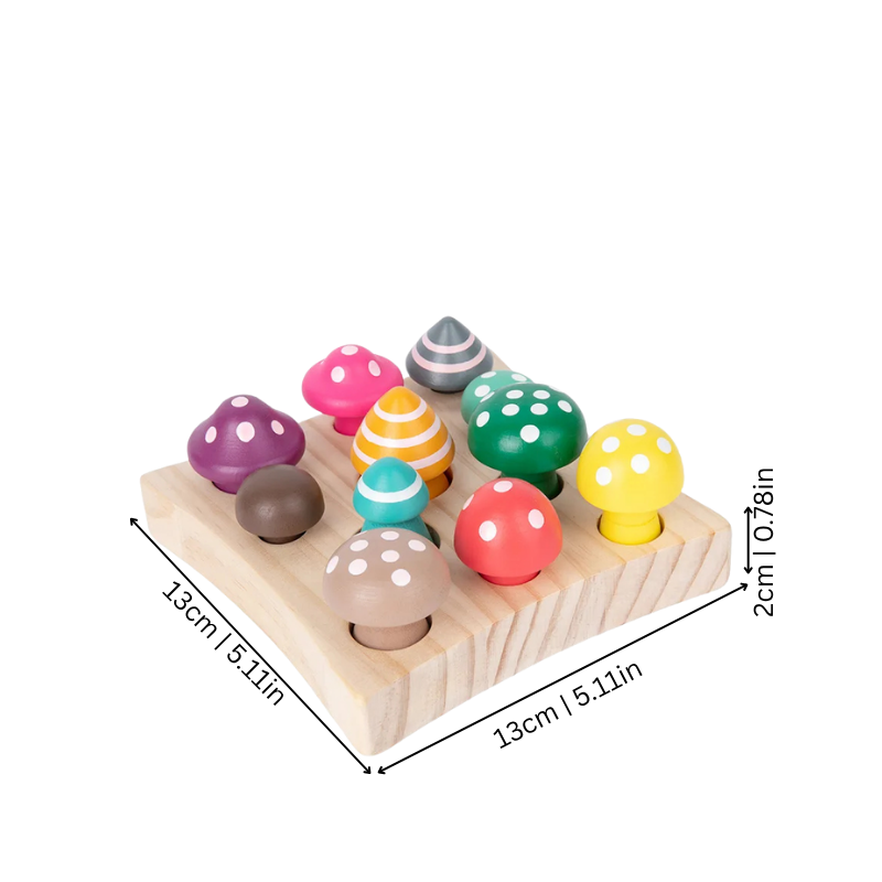 Comparaison des tailles de champignons en bois Montessori