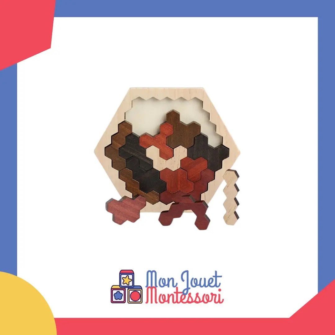 Ensemble de pièces hexagonales en bois sur fond blanc