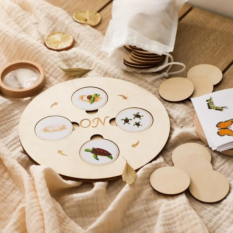 Ensemble de pièces en bois illustrant des cycles naturels
