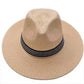 Chapeau Panama sur fond neutre, calotte haute visible