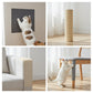 Tapis anti-griffes repositionnable sur une surface lisse