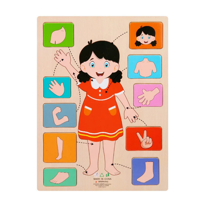 Vue détaillée d'un puzzle en bois, style anatomie humaine