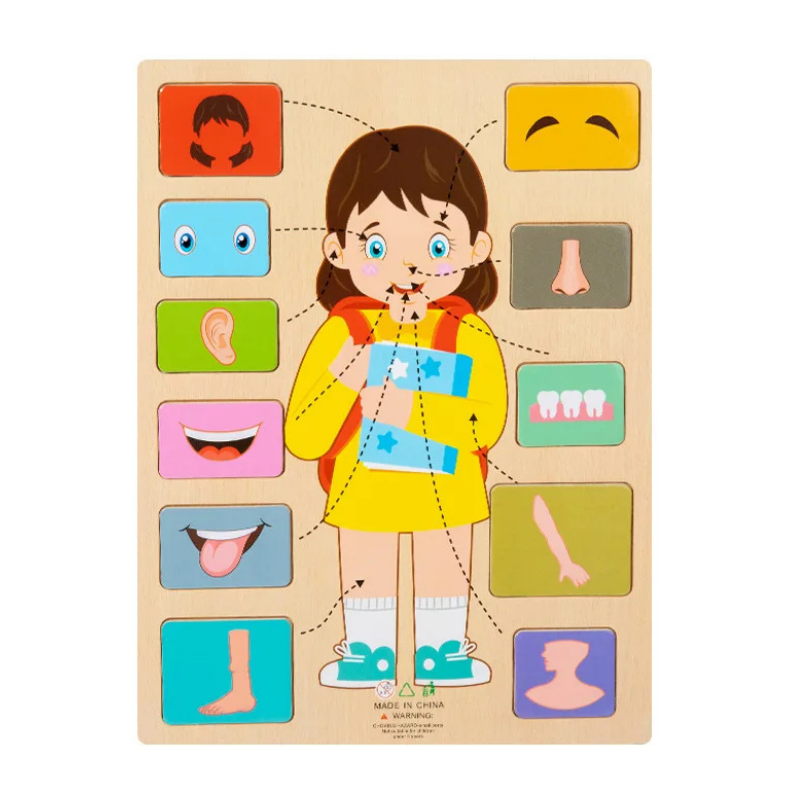 Puzzle en bois éducatif, style 2, pour découvrir le corps humain