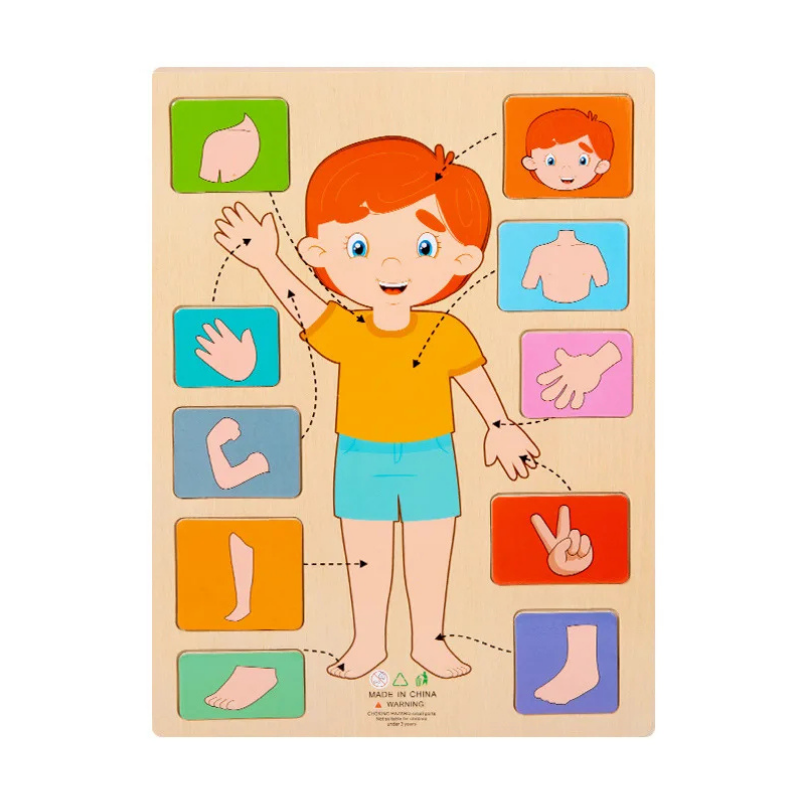 Ensemble de pièces de puzzle en bois, style 3, corps humain