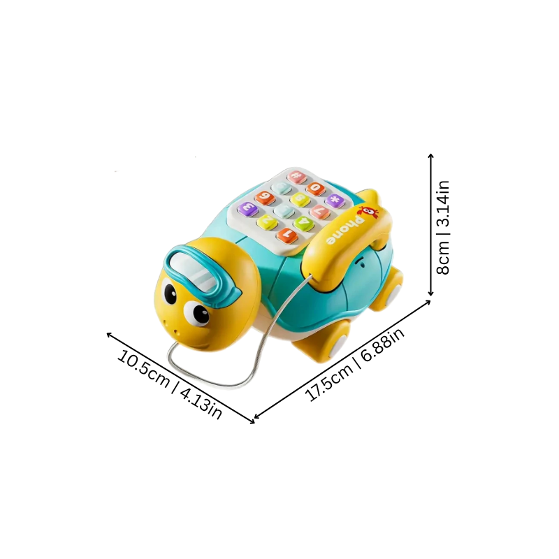 Illustration des dimensions de la tortue musicale pour bébé