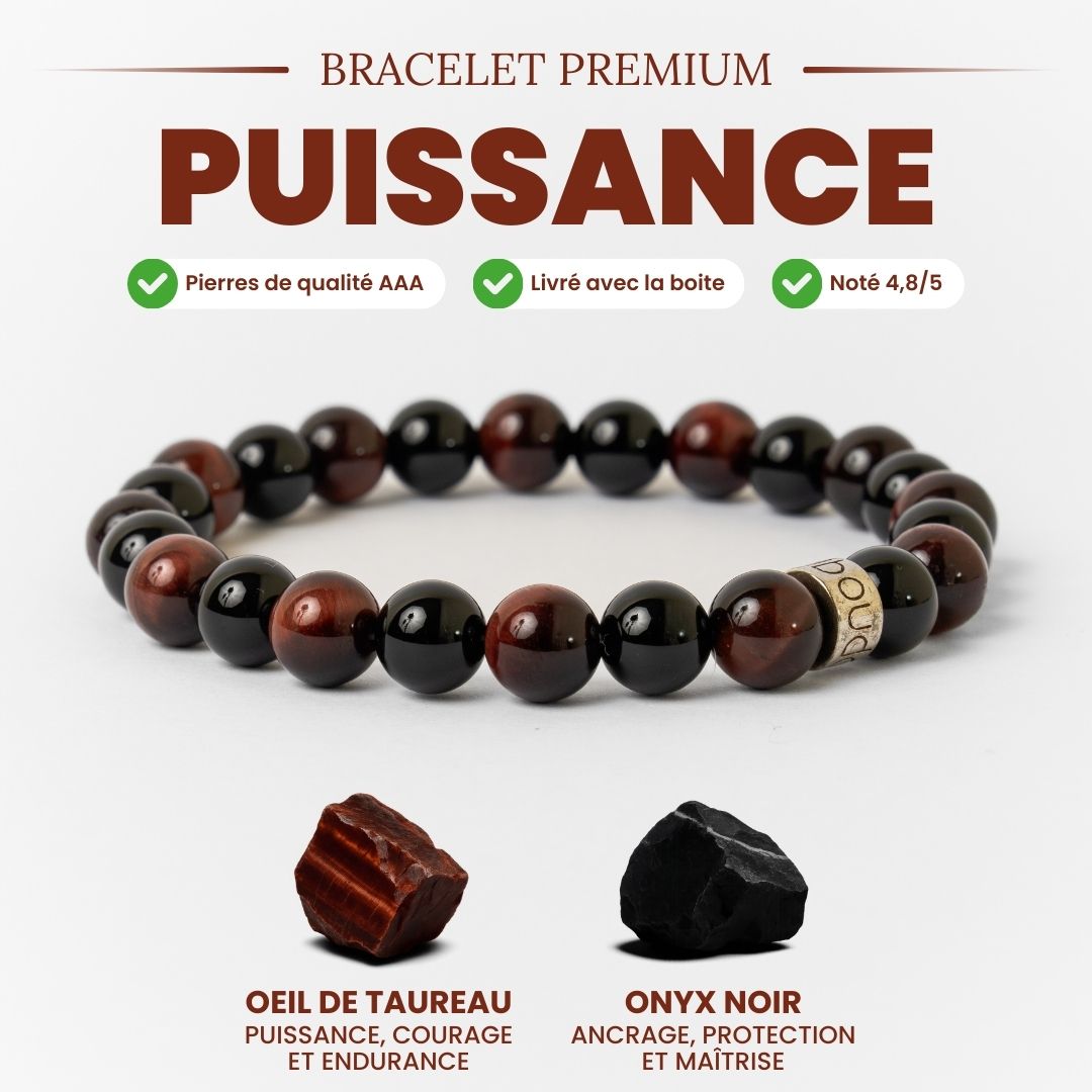 Bracelet en pierres naturelles avec perles d'Œil de Taureau et Onyx Noir