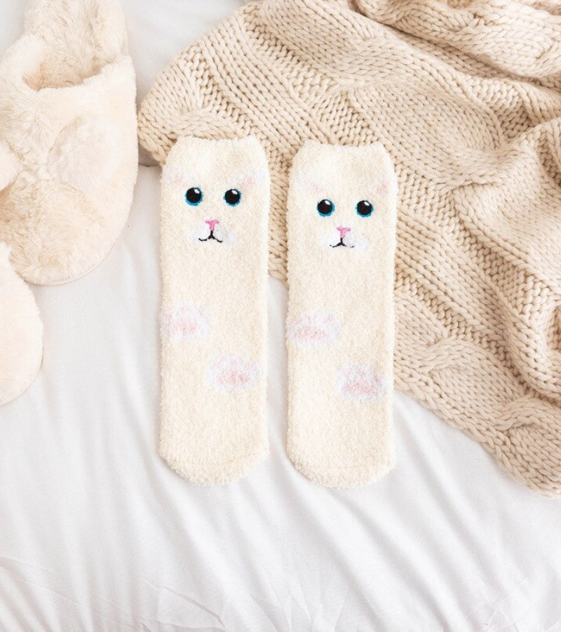 Gros plan sur chaussettes Pilou Pilou motif chat