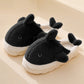 Chaussons dauphin sur fond neutre, mettant en valeur la couleur