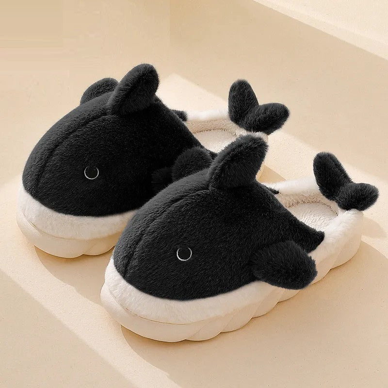 Chaussons dauphin sur fond neutre, mettant en valeur la couleur