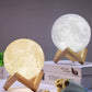 Lampe lune 3D sur socle en bois de noyer