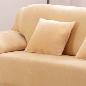 Deux housses de coussin en velours beige sur fond blanc