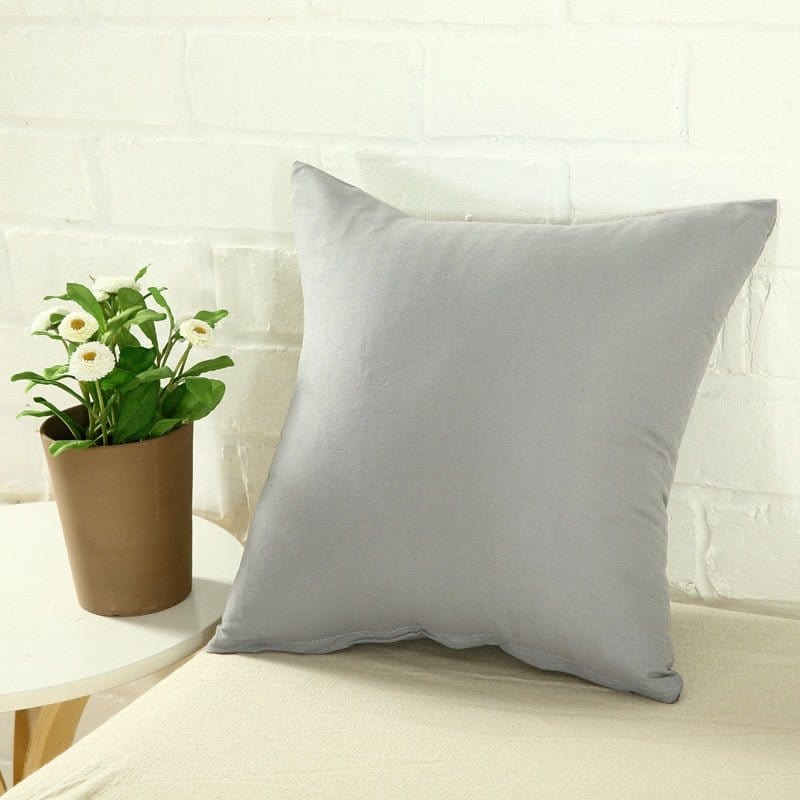 Deux housses de coussin gris clair sur canapé moderne