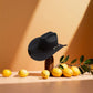Gros plan sur la bordure large d'un chapeau cowboy en feutre