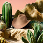 Vue latérale d'un chapeau cowboy en feutre beige