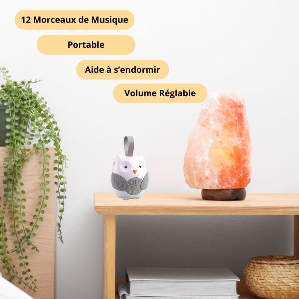 Vue rapprochée de la veilleuse hibou, design mignon