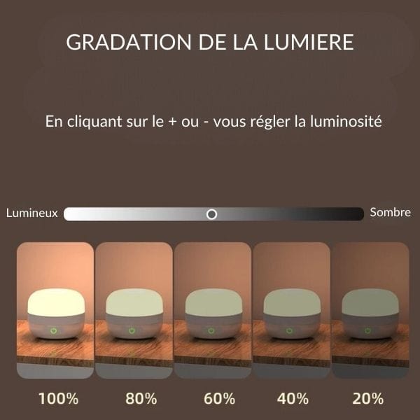 Gros plan sur la veilleuse montrant les cinq couleurs disponibles