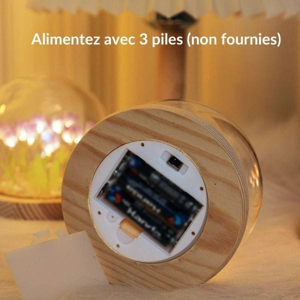 Détail des tulipes lumineuses et base en bois naturel