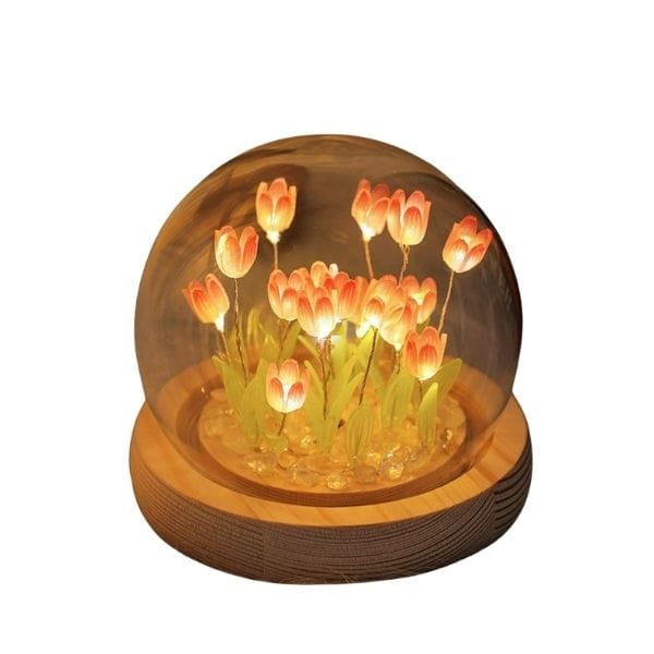 Tulipes roses éclairées sous un dôme en verre transparent