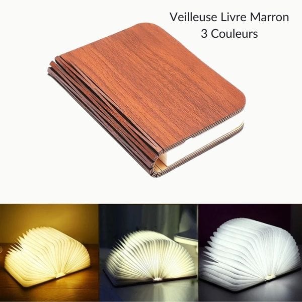 Veilleuse LED livre marron, trois couleurs disponibles