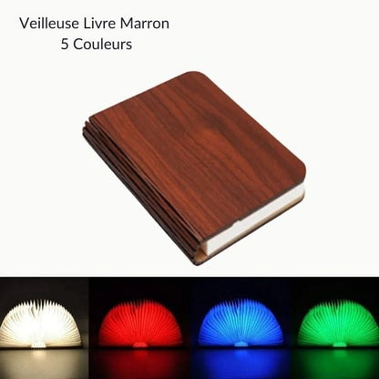 Veilleuse livre marron, cinq options de couleur LED
